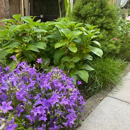 Margareta Garden Boutique 2* 埃格尔