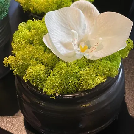 Margareta Garden Boutique 酒店 埃格尔